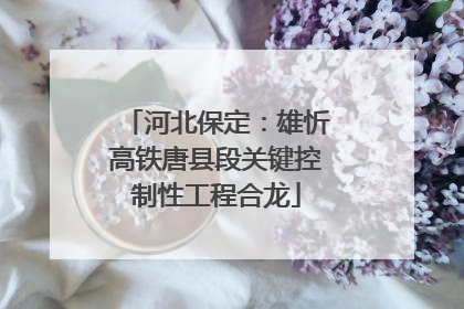 河北保定：雄忻高铁唐县段关键控制性工程合龙