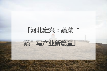 河北定兴：蔬菜“蔬”写产业新篇章