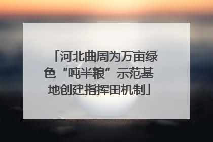 河北曲周为万亩绿色“吨半粮”示范基地创建指挥田机制