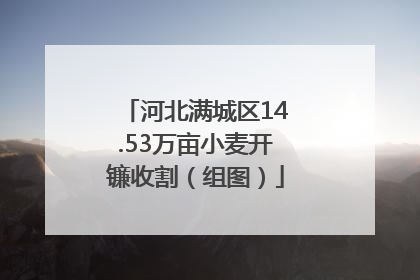 河北满城区14.53万亩小麦开镰收割（组图）