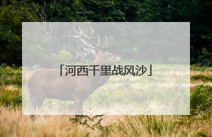 河西千里战风沙