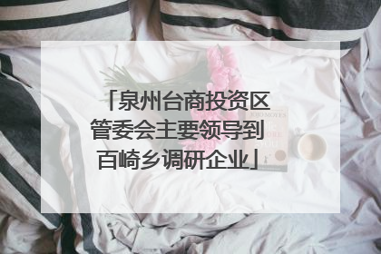 泉州台商投资区管委会主要领导到百崎乡调研企业