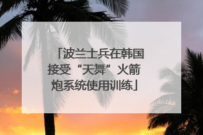 波兰士兵在韩国接受“天舞”火箭炮系统使用训练