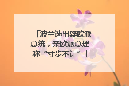 波兰选出疑欧派总统，亲欧派总理称“寸步不让”