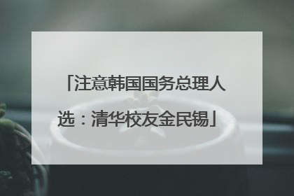 注意韩国国务总理人选：清华校友金民锡