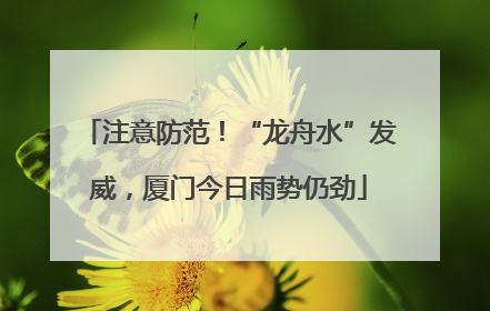 注意防范！“龙舟水”发威，厦门今日雨势仍劲