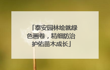泰安园林绘就绿色画卷，精细防治护佑苗木成长