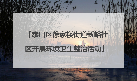 泰山区徐家楼街道新峪社区开展环境卫生整治活动