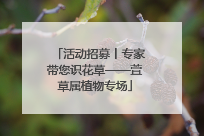 活动招募丨专家带您识花草——萱草属植物专场