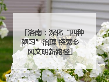 洛南：深化“四种陋习”治理 探索乡风文明新路径