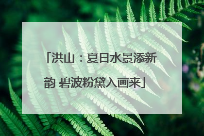 洪山：夏日水景添新韵 碧波粉黛入画来