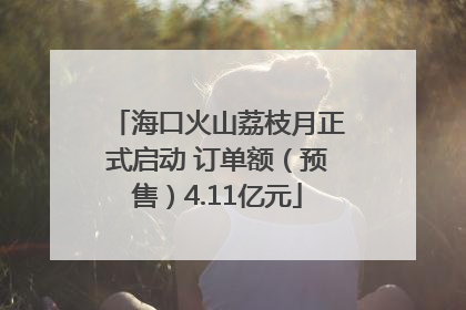 海口火山荔枝月正式启动 订单额（预售）4.11亿元