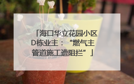海口华立花园小区D栋业主：“燃气主管道施工遭阻拦”