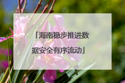 海南稳步推进数据安全有序流动