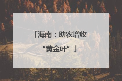 海南：助农增收 “黄金叶”