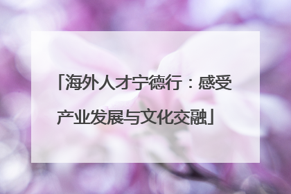 海外人才宁德行：感受产业发展与文化交融