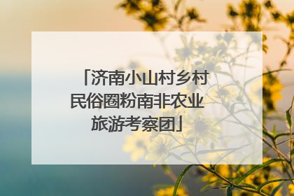 济南小山村乡村民俗圈粉南非农业旅游考察团