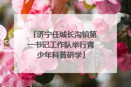济宁任城长沟镇第一书记工作队举行青少年科普研学