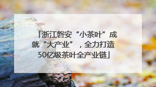 浙江磐安“小茶叶”成就“大产业”，全力打造50亿级茶叶全产业链