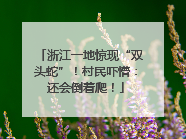 浙江一地惊现“双头蛇”！村民吓懵：还会倒着爬！