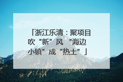 浙江乐清：聚项目吹“新”风 “海边小镇”成“热土”