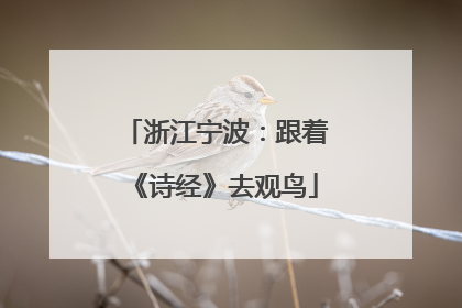浙江宁波：跟着《诗经》去观鸟