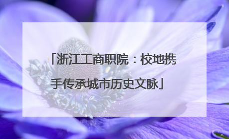 浙江工商职院：校地携手传承城市历史文脉