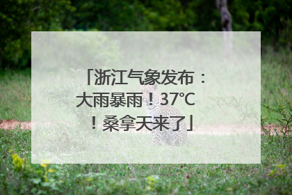 浙江气象发布：大雨暴雨！37℃！桑拿天来了