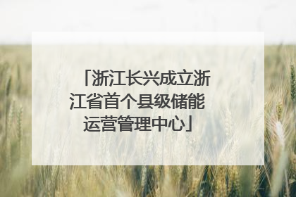 浙江长兴成立浙江省首个县级储能运营管理中心