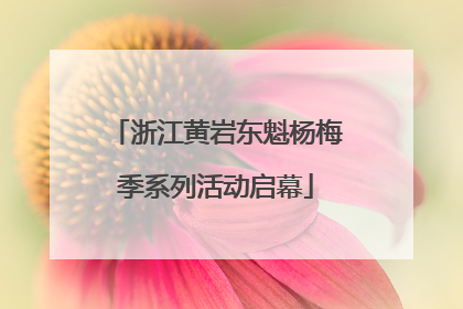 浙江黄岩东魁杨梅季系列活动启幕