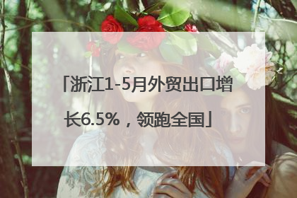 浙江1-5月外贸出口增长6.5%，领跑全国