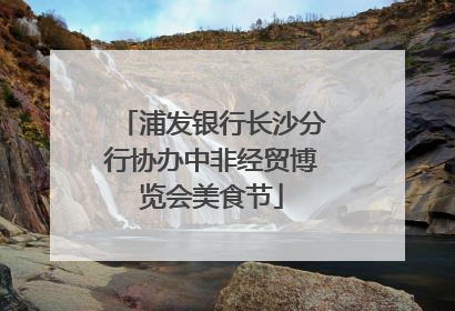 浦发银行长沙分行协办中非经贸博览会美食节