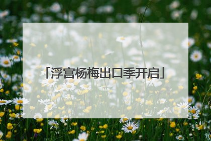 浮宫杨梅出口季开启