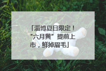淄博夏日限定！“六月黄”提前上市，鲜掉眉毛