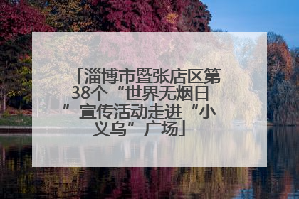 淄博市暨张店区第38个“世界无烟日”宣传活动走进“小义乌”广场