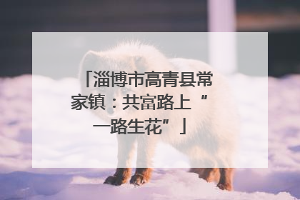 淄博市高青县常家镇：共富路上“一路生花”