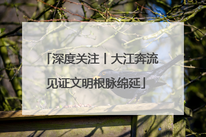 深度关注丨大江奔流见证文明根脉绵延