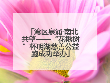 湾区泉涌·南北共擎——“花楸树”杯明湖慈善公益跑成功举办