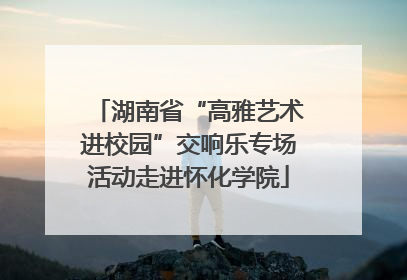 湖南省“高雅艺术进校园”交响乐专场活动走进怀化学院