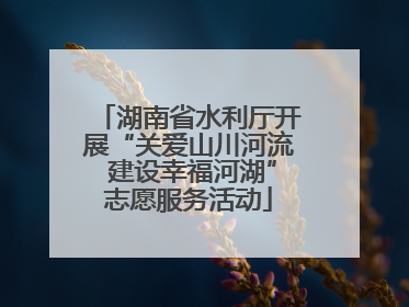 湖南省水利厅开展“关爱山川河流 建设幸福河湖”志愿服务活动