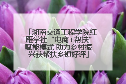 湖南交通工程学院红雁学社“电商+帮扶”赋能模式 助力乡村振兴获帮扶乡镇好评