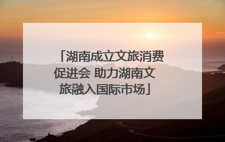 湖南成立文旅消费促进会 助力湖南文旅融入国际市场