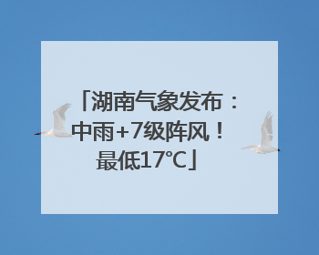 湖南气象发布：中雨+7级阵风！最低17℃