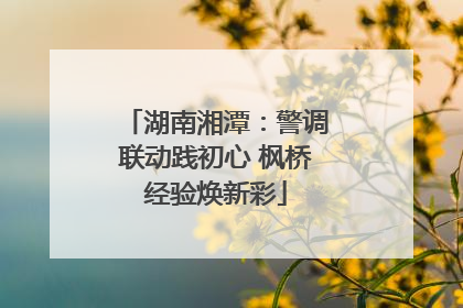湖南湘潭：警调联动践初心 枫桥经验焕新彩