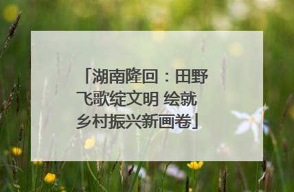 湖南隆回：田野飞歌绽文明 绘就乡村振兴新画卷
