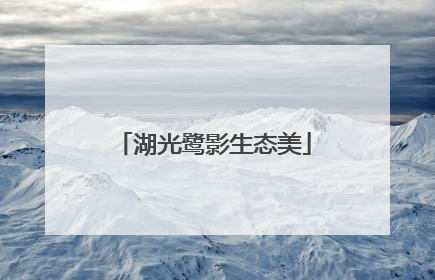 湖光鹭影生态美