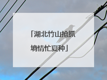 湖北竹山抢抓墒情忙夏种
