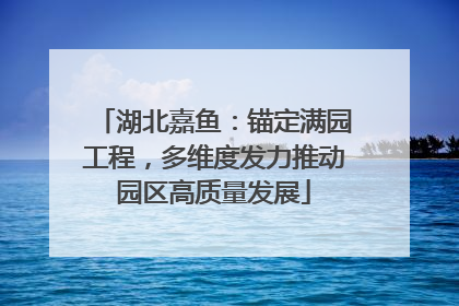 湖北嘉鱼：锚定满园工程，多维度发力推动园区高质量发展