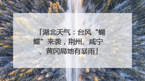 湖北天气：台风“蝴蝶”来袭，荆州、咸宁、黄冈局地有暴雨