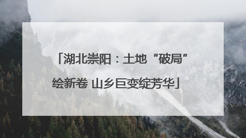 湖北崇阳：土地“破局”绘新卷 山乡巨变绽芳华